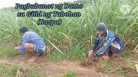 nagbubunot ng damo in english|Nagbubunot ng mga damo in English with examples .